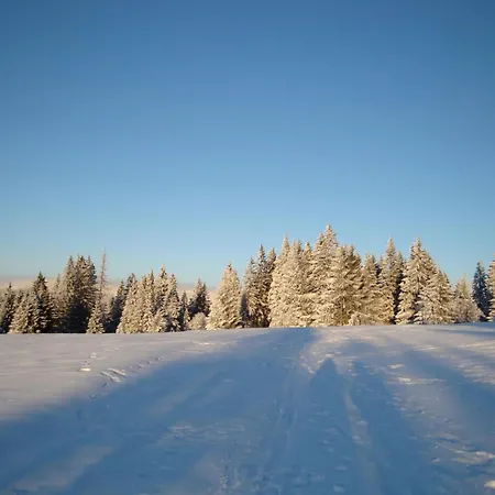 Wiesengrund In By Interhome Apartment Bayerisch Eisenstein